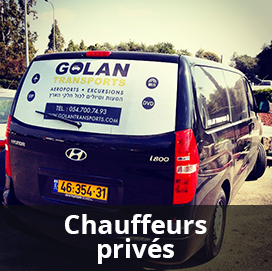 Chauffeurs privés à la journée